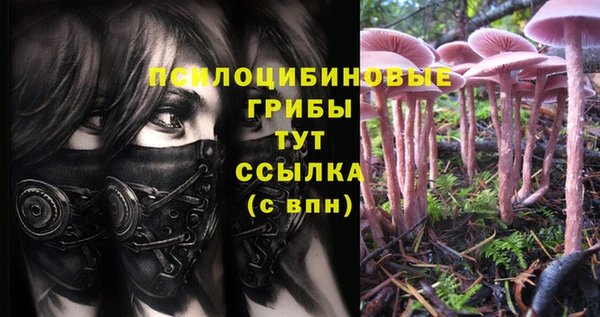 тгк Горно-Алтайск