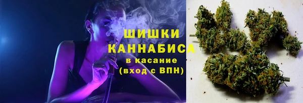 тгк Горно-Алтайск