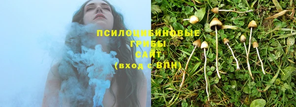 тгк Горно-Алтайск