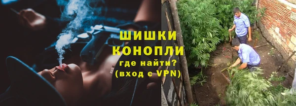 тгк Горно-Алтайск