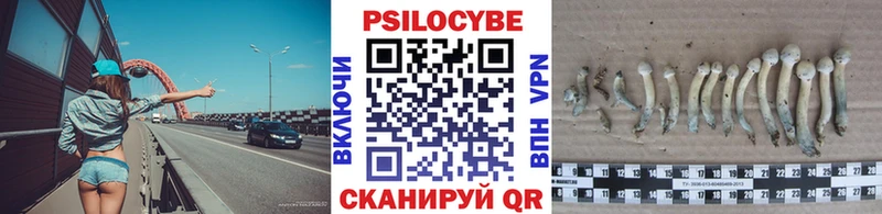 где купить наркоту  Осинники  мега ссылки  Псилоцибиновые грибы мухоморы 